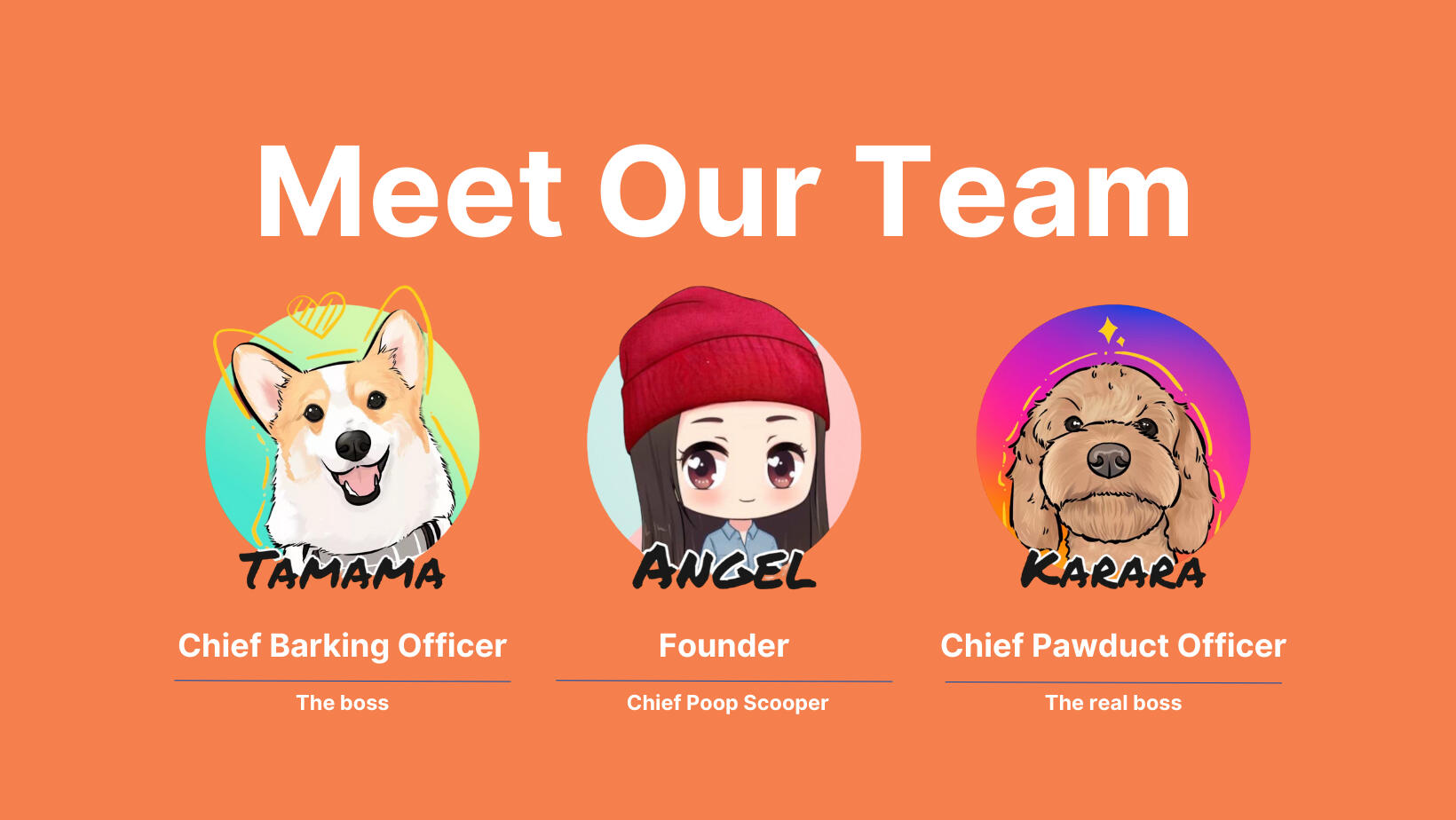 Meet Our Team